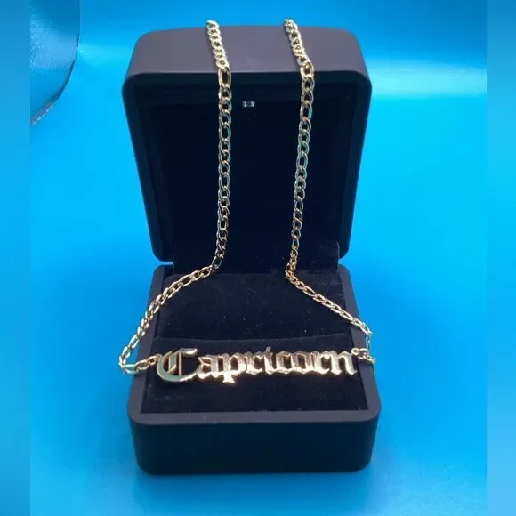 ⭐️🌙Capricorn Zodiac Nameplate on 14k Gold plated Figaro Chain⭐️🌙